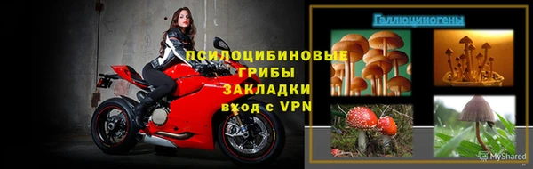 молекула духа Алзамай