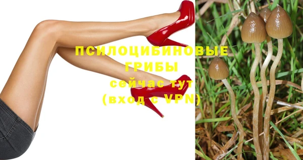 молекула духа Алзамай