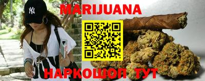 гидра Краснознаменск