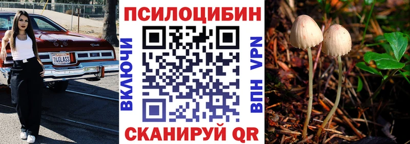 купить   блэк спрут   Псилоцибиновые грибы Psilocybine cubensis  Камышин 