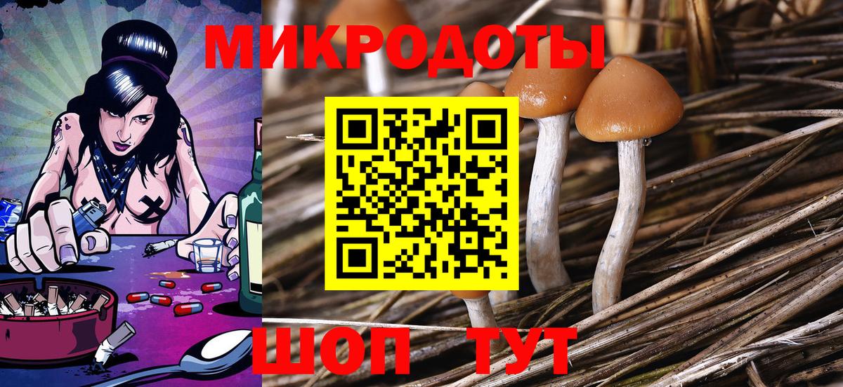 Псилоцибиновые грибы Psilocybine cubensis  Вход с VPN  Камышин  Галлюциногенные грибы прущие грибы 