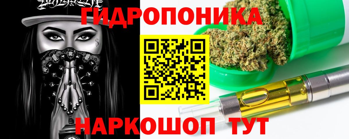 Конопля OG Kush Камышин
